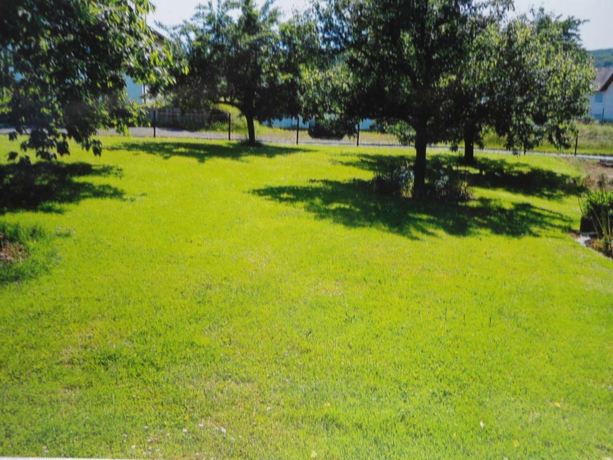 Ferienwohnung Raupe Fritzlar Extérieur photo